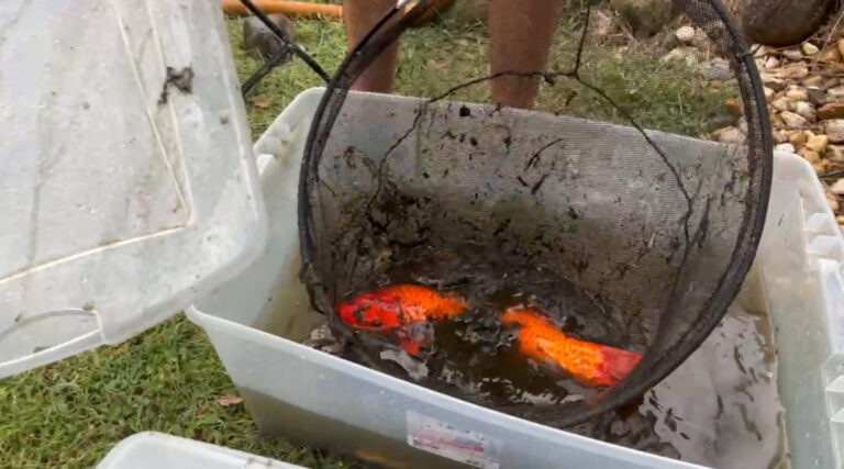 A Fish Rescue Mission - Easton Outdoors