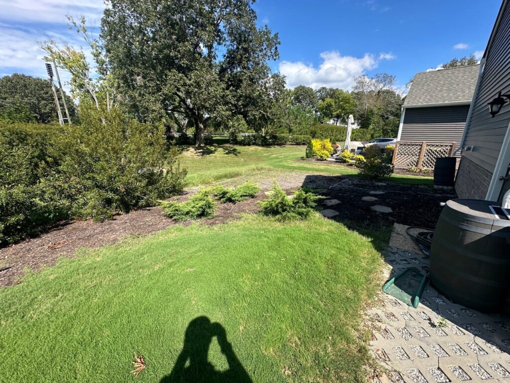 Before: side lawn and shrubs beside a home