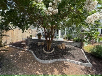 Crape myrtle in an edged mulch bed beside a raised patio