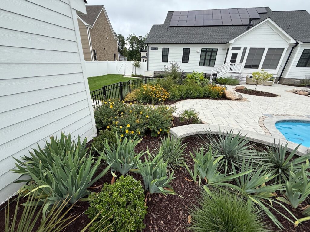 Planting bed of spiky plants and grasses beside a pool deck in Tabb, VA