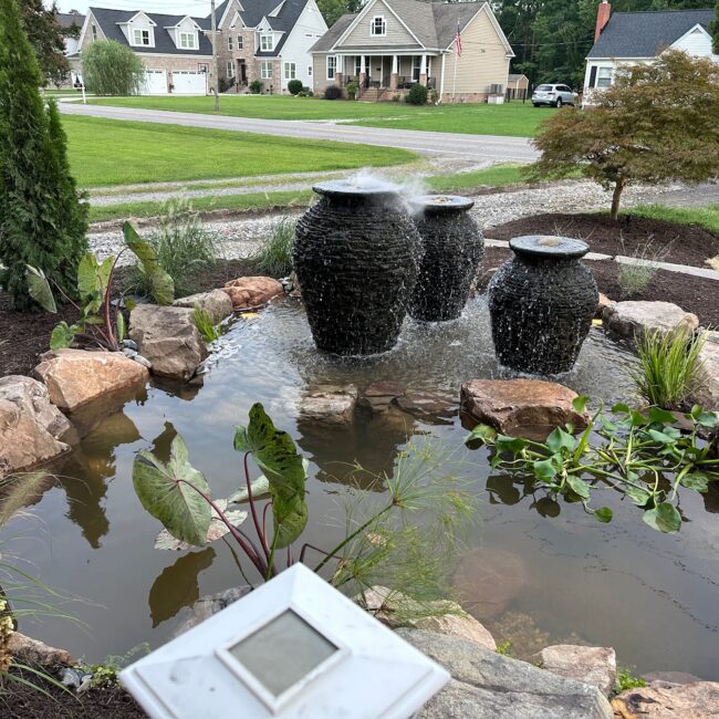 Front yard pond with three black urn fountains, boulders and water plants in Poquoson, VA